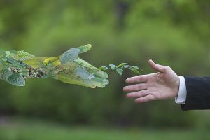 Sustainable Plastics Solutions - Europe General