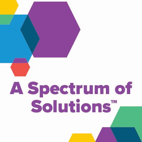 A Spectrum of Solutions