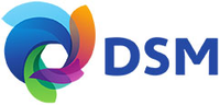DSM Engineering Materials Plastic Distributor