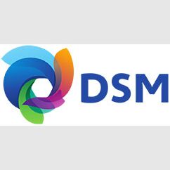 DSM Engineering Materials