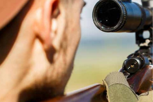 Sporting Firearms